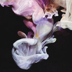 Cover of Murmurations