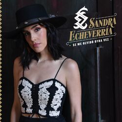 Cover of Se Me Olvidó Otra Vez