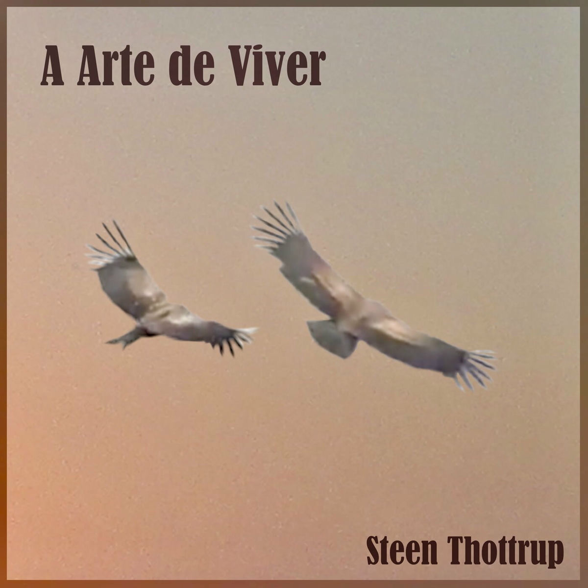 Album cover of A Arte De Viver