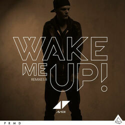 Cover of Wake Me Up (Remixes II)