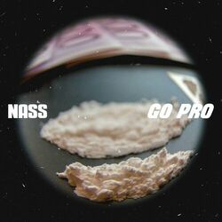 Cover of Go pro