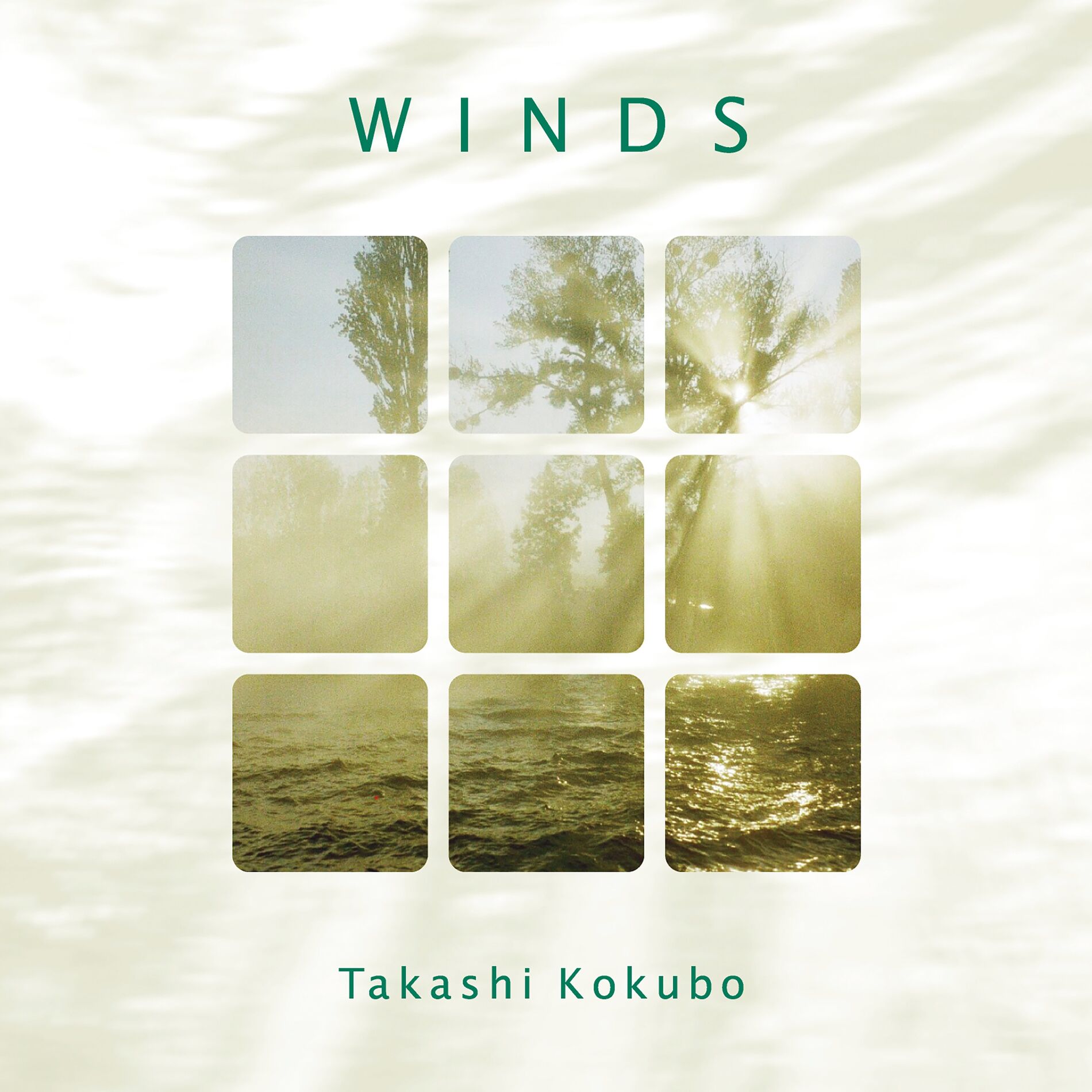 Album cover of Dawn of Tropical Rain Forest