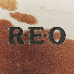Cover of R.E.O.