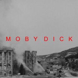 Cover of Moby Dick