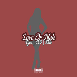 Cover of Love Or Nah