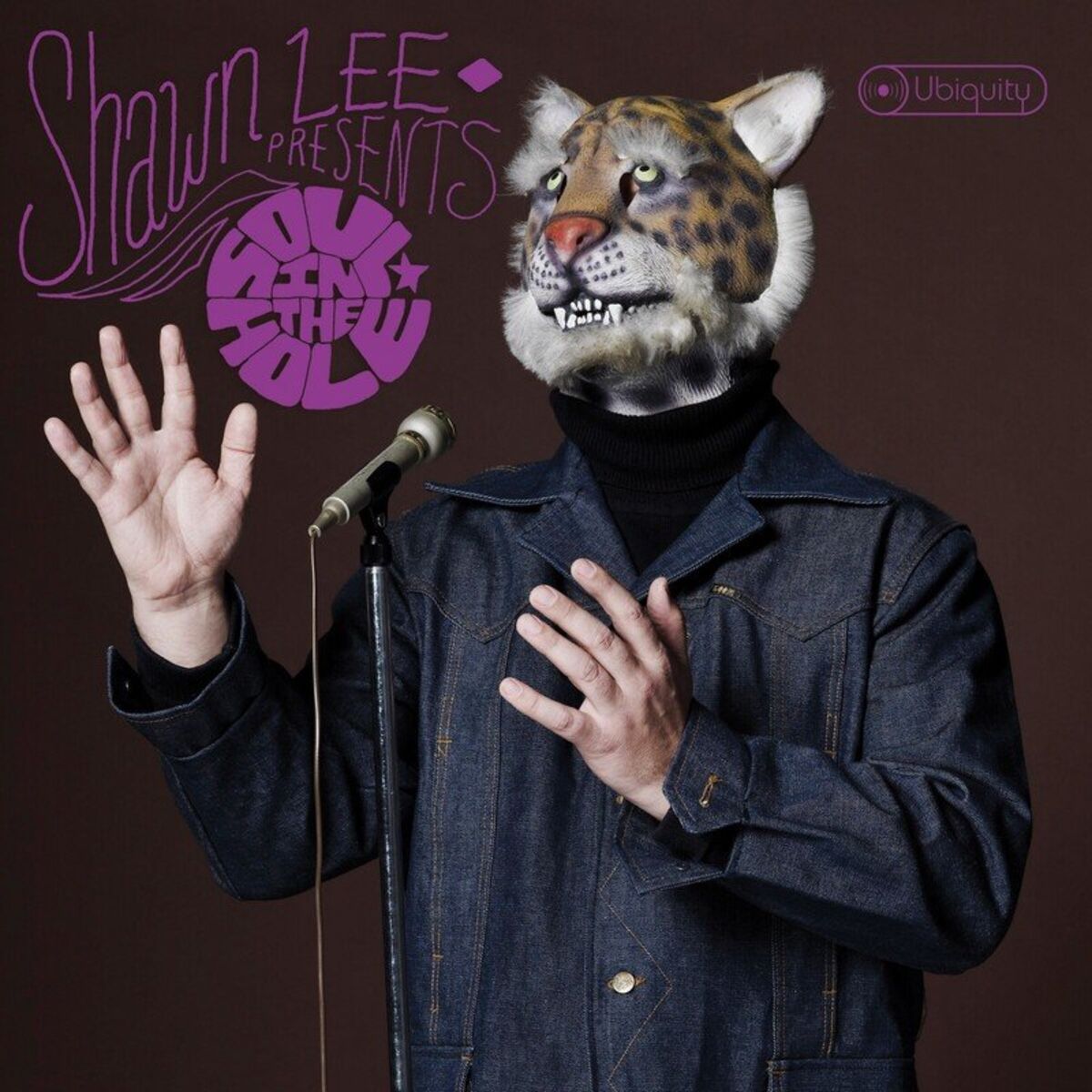 Album cover of Soul in the Hole