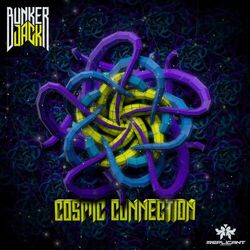Cover of Cosmic Connection