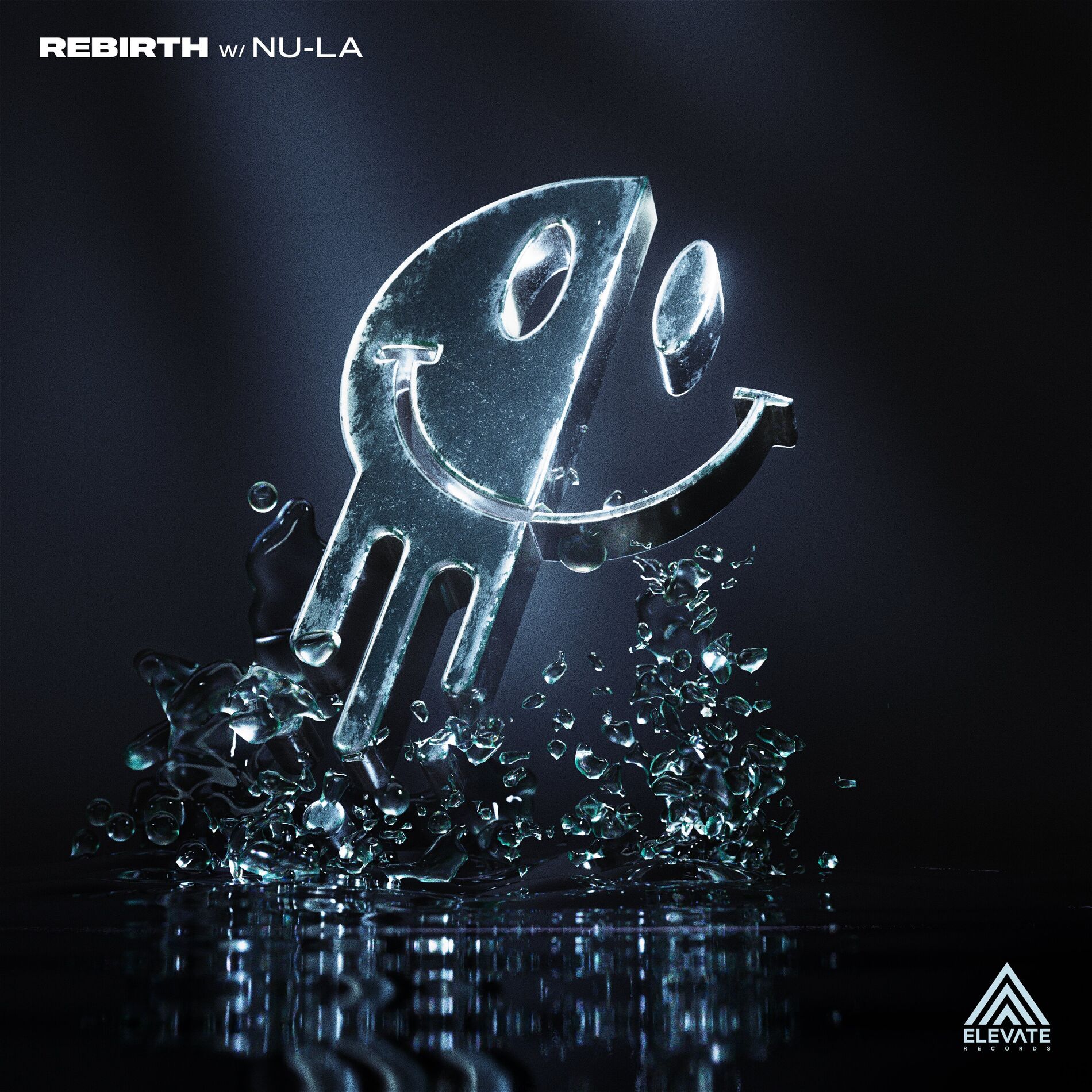 Album cover of ReBirth