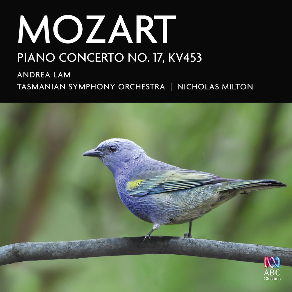 Album artwork for Piano Concerto No. 17 in G Major, K. 453: 1. Allegro by Andrea Lam