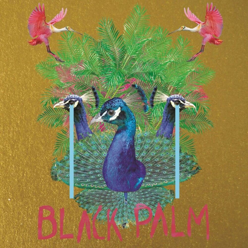 Picture of Black Palm