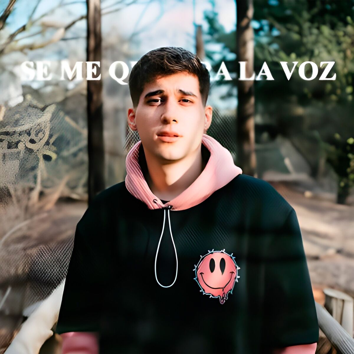 Album cover of Se me quiebra la voz