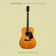 Brown's Diner Bar by Vince Gill album cover