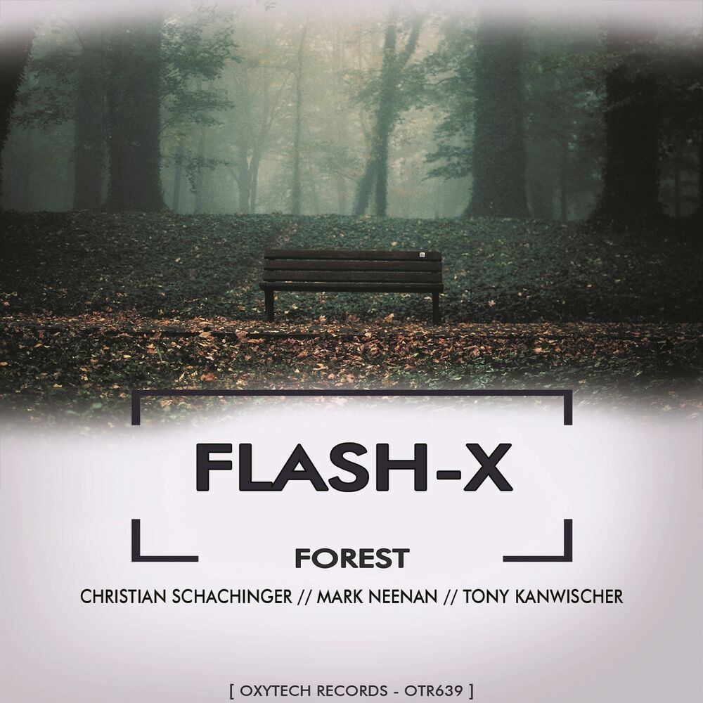 Picture of Forest