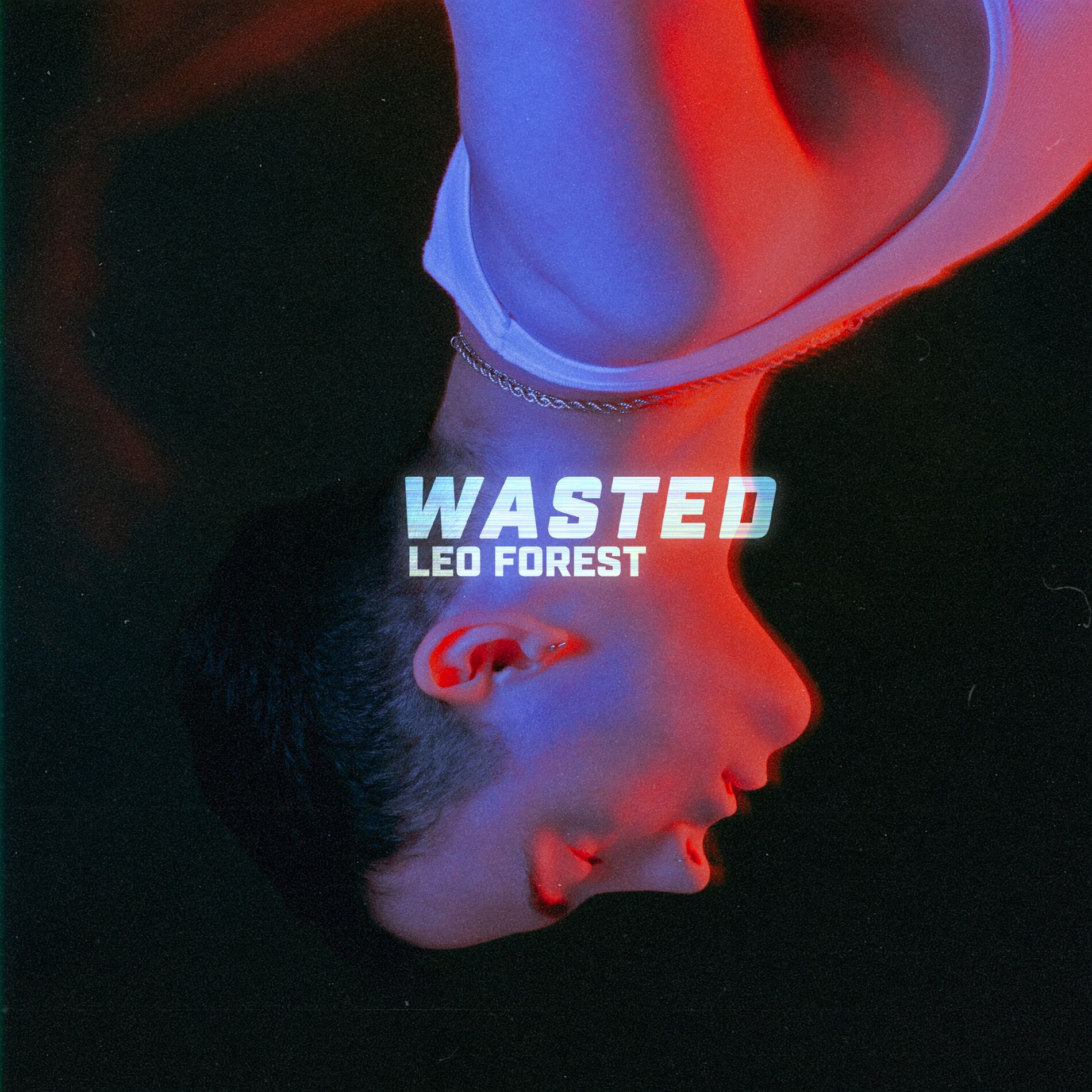 Album cover of Wasted