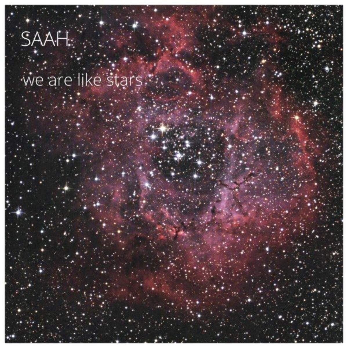 Album cover of We Are Like Stars