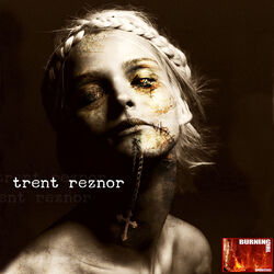 Cover of A Tribute to Nine Inch Nails