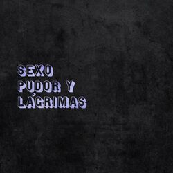 Cover of Sexo, Pudor Y Lágrimas