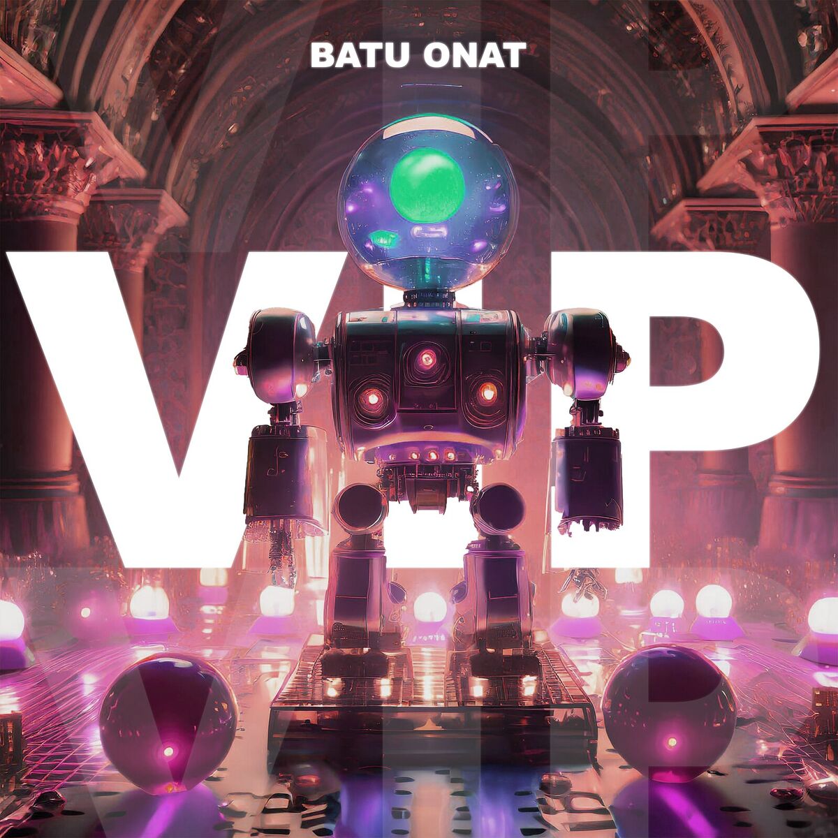 Album cover of Vip