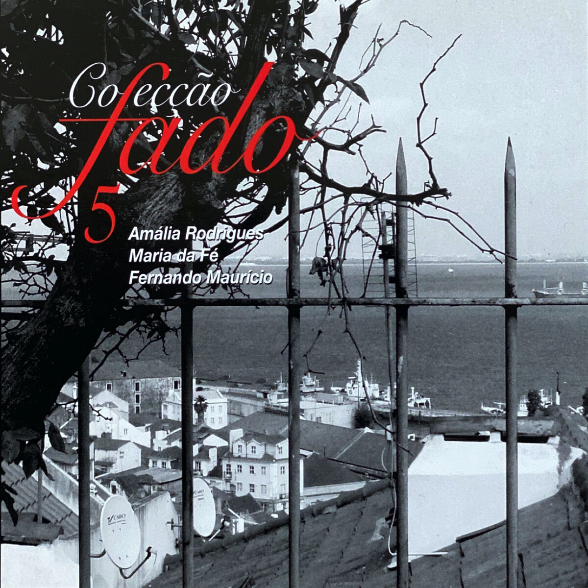 Album cover of Colecção Fado, Vol. 5