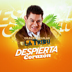 Cover of Despierta Corazón