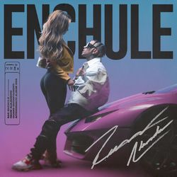 Cover of Enchule
