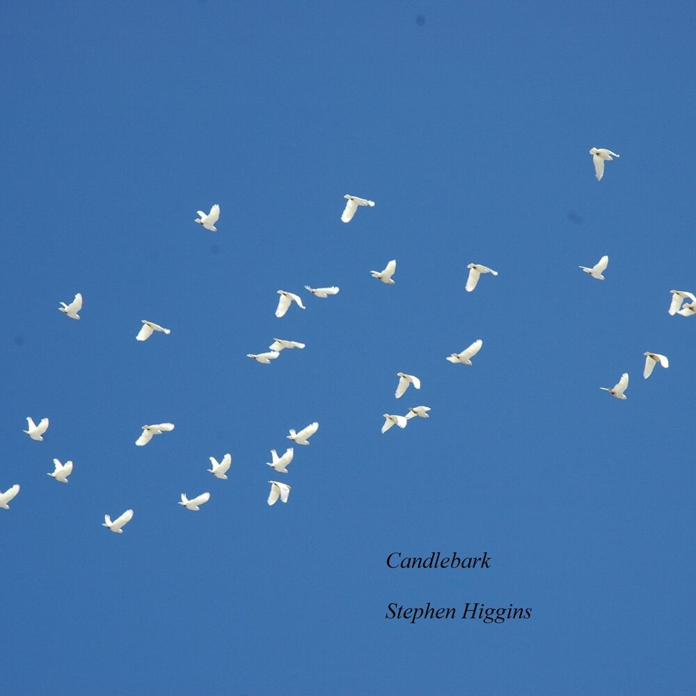 Picture of Candlebark