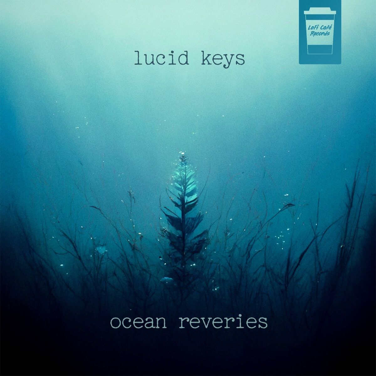 Album cover of Ocean Reveries