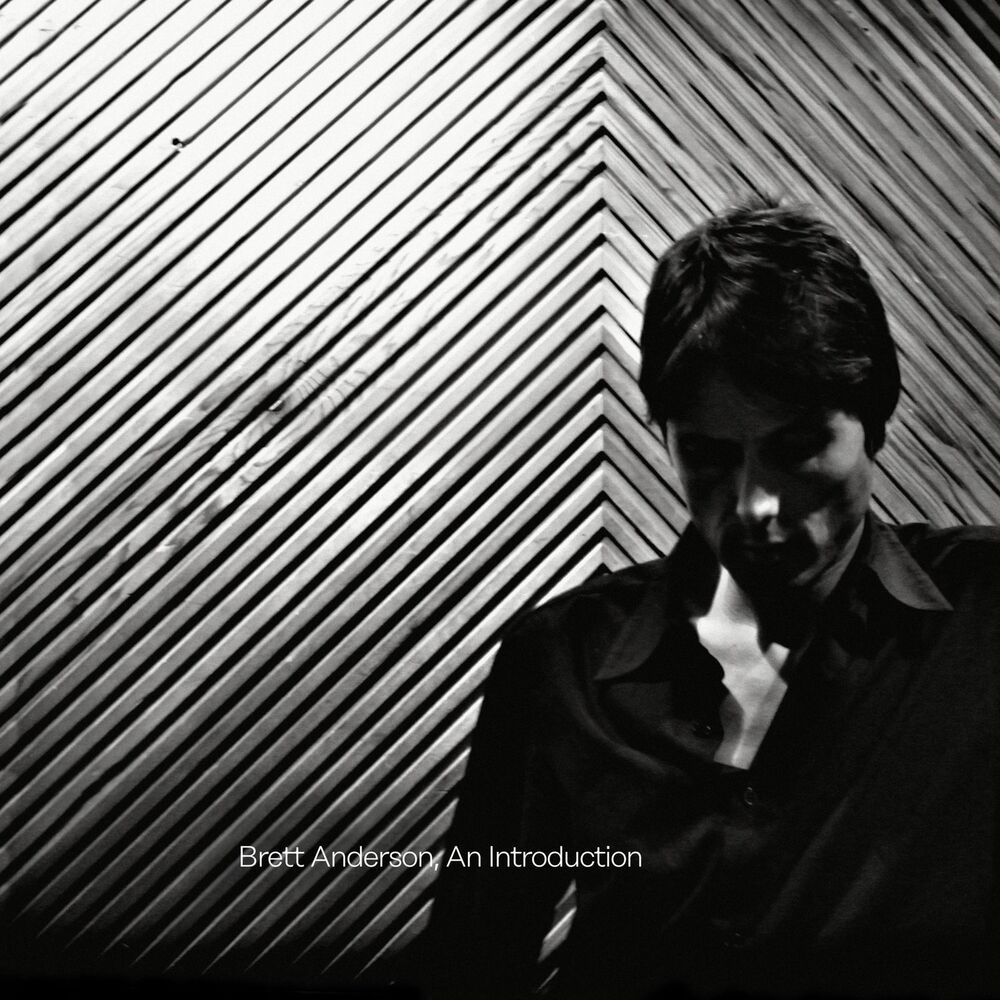 Picture of Brett Anderson, An Introduction