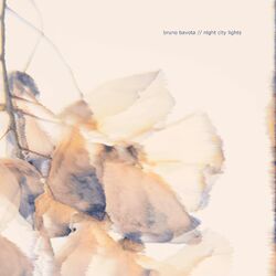 Cover of Night city lights