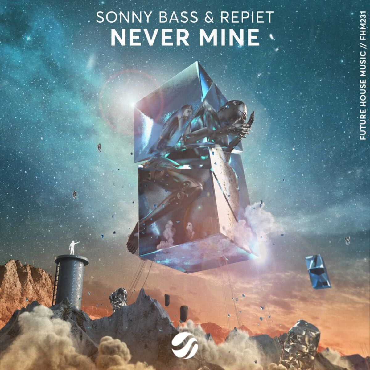 Album cover of Never Mine