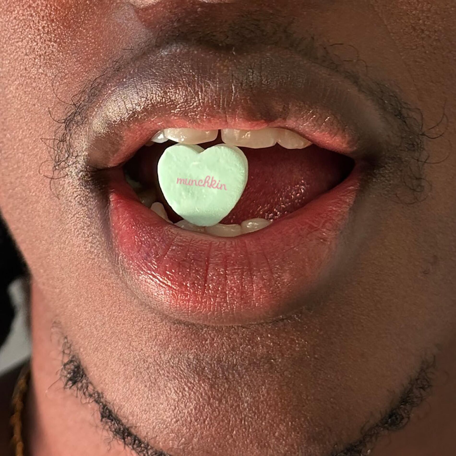 Album cover of munchkin (feat. Ladi & Craezo King)