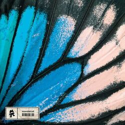 Cover of Hero