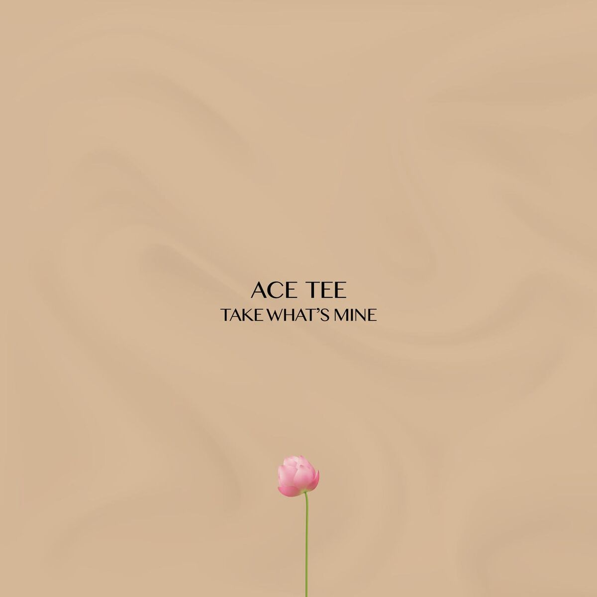 Album cover of TAKE WHAT'S MINE