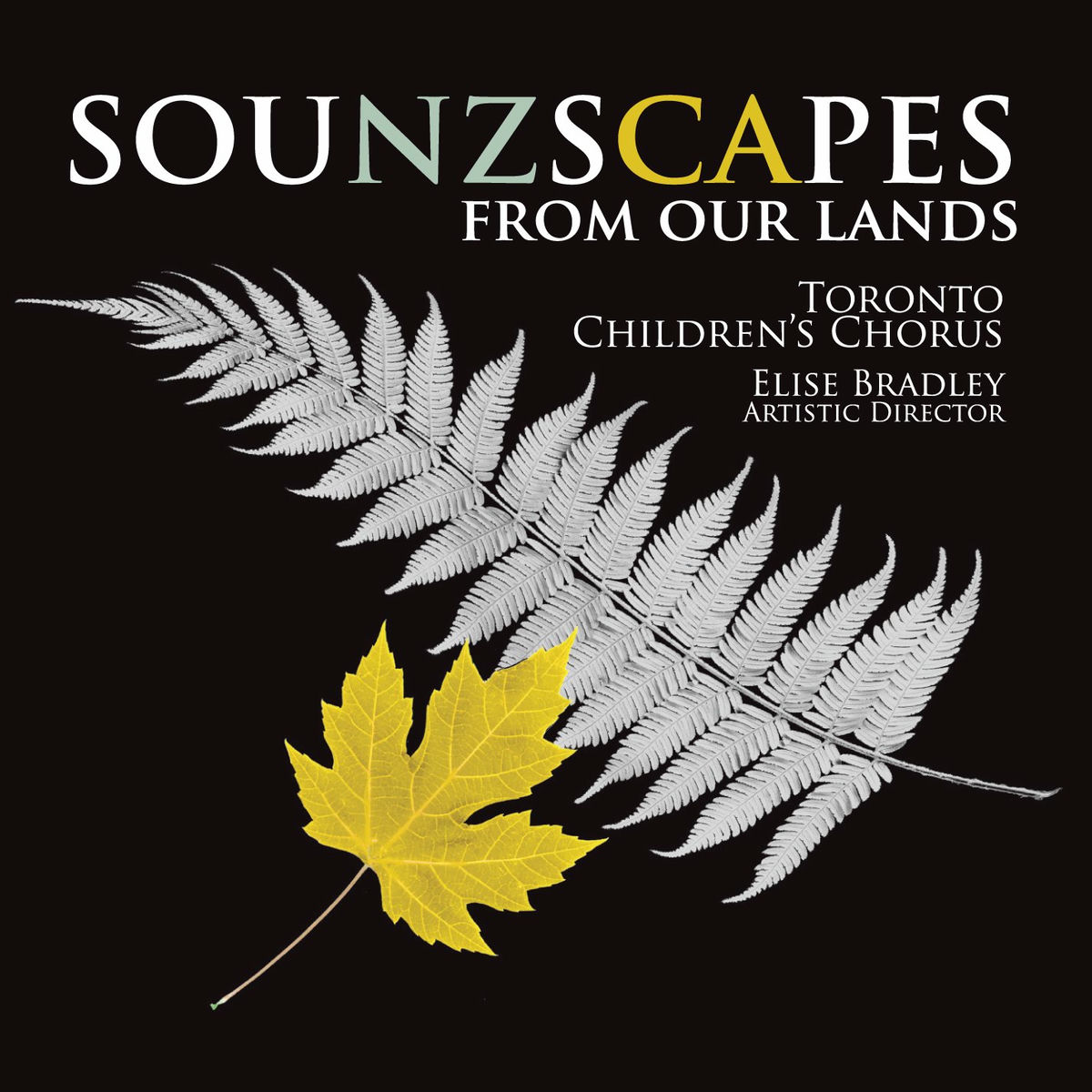 Album cover of Sounzscapes - From Our Lands