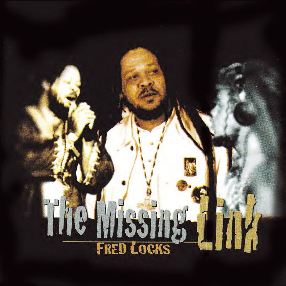 Picture of The Missing Link