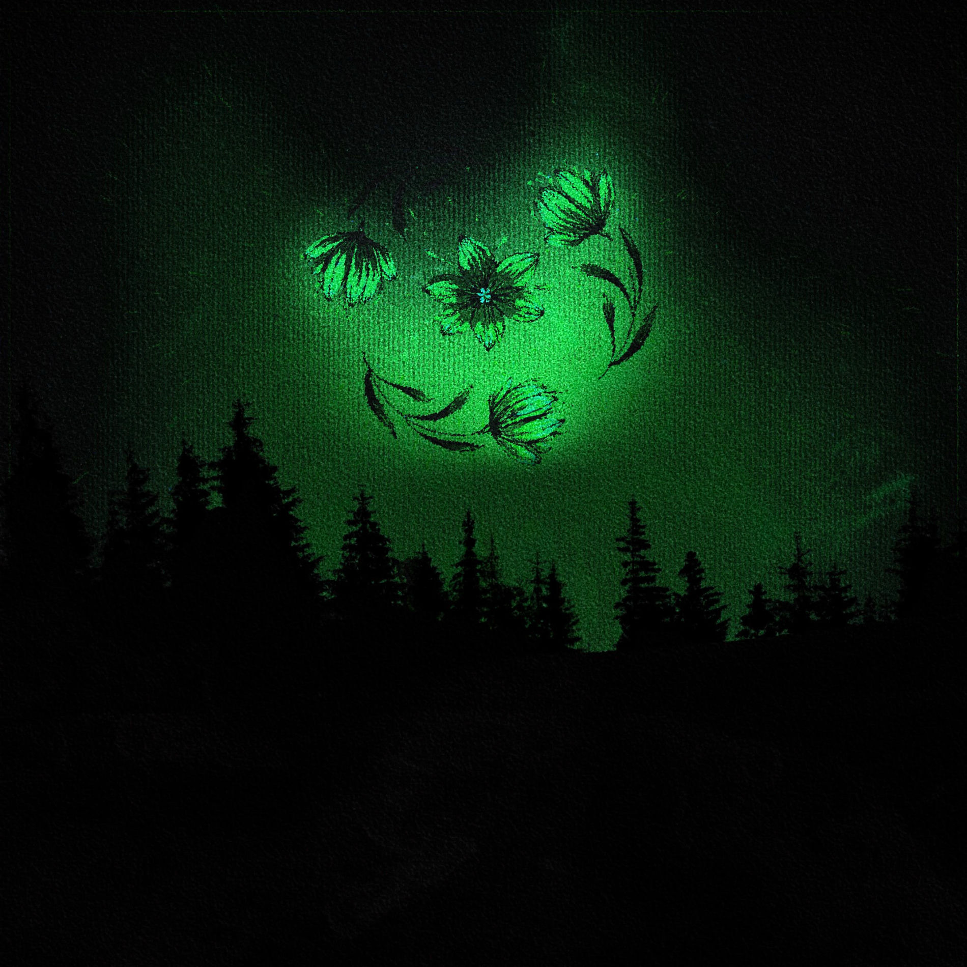 Album cover of Jardim Espiral