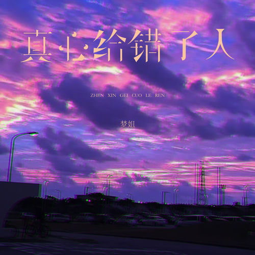 真心给错了人