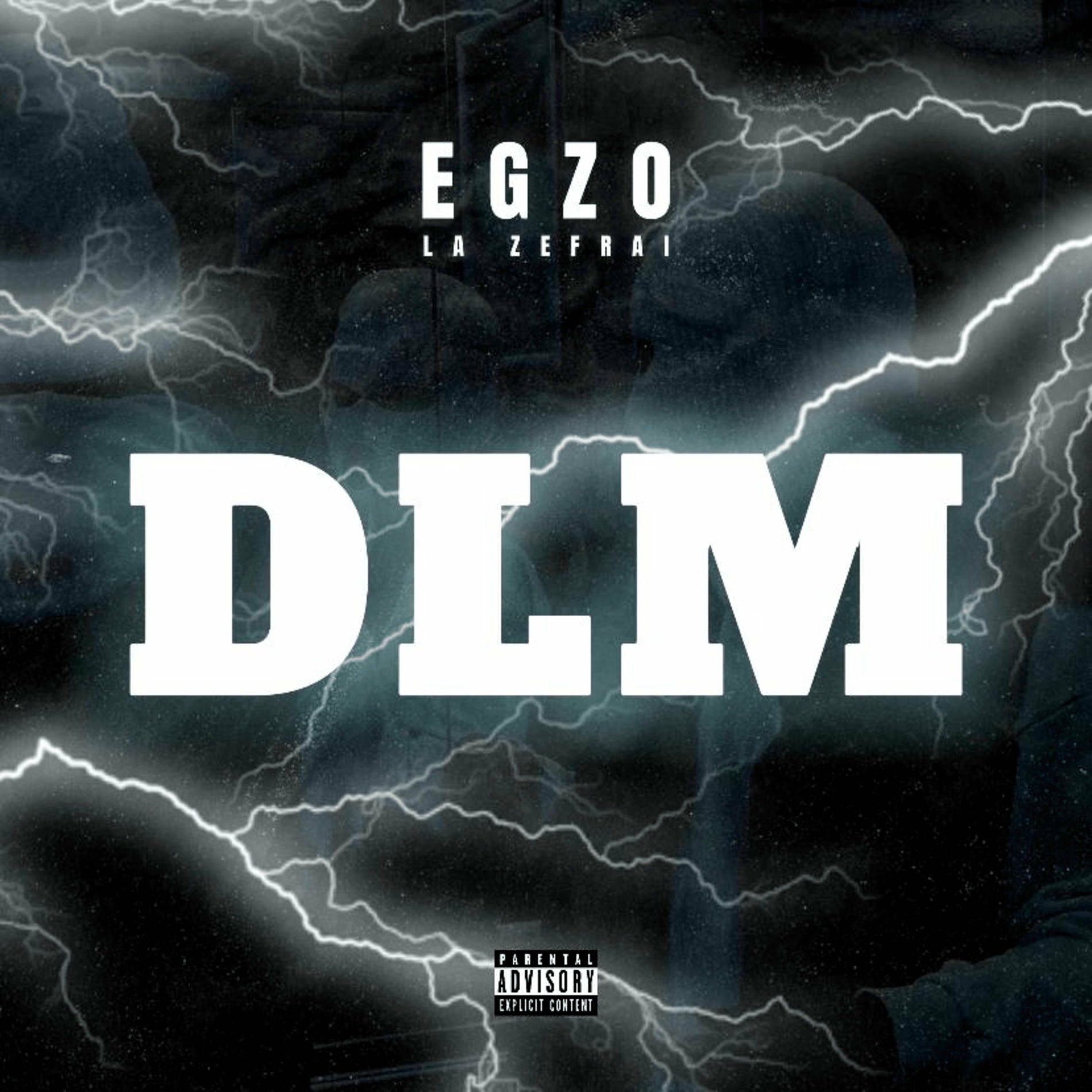 Album cover of DLM