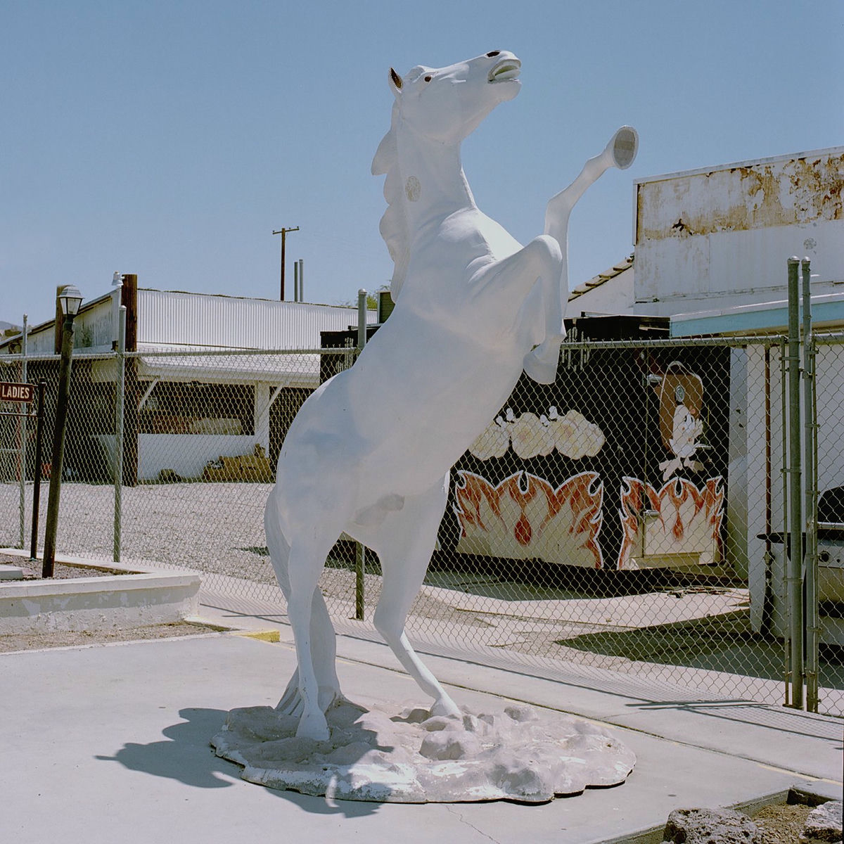 Album cover of Honey