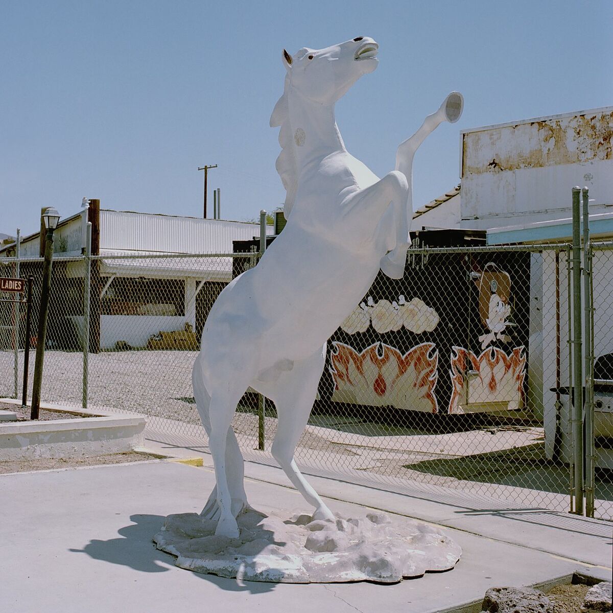 Album cover of Amor En Español