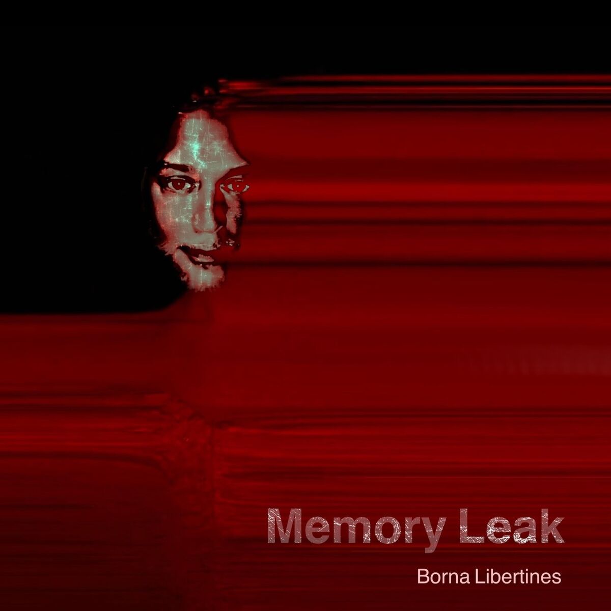 Album cover of Memory Leak