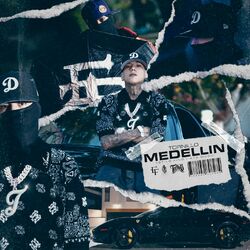 Cover of Medellín