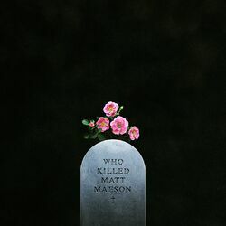 Cover of Who Killed Matt Maeson