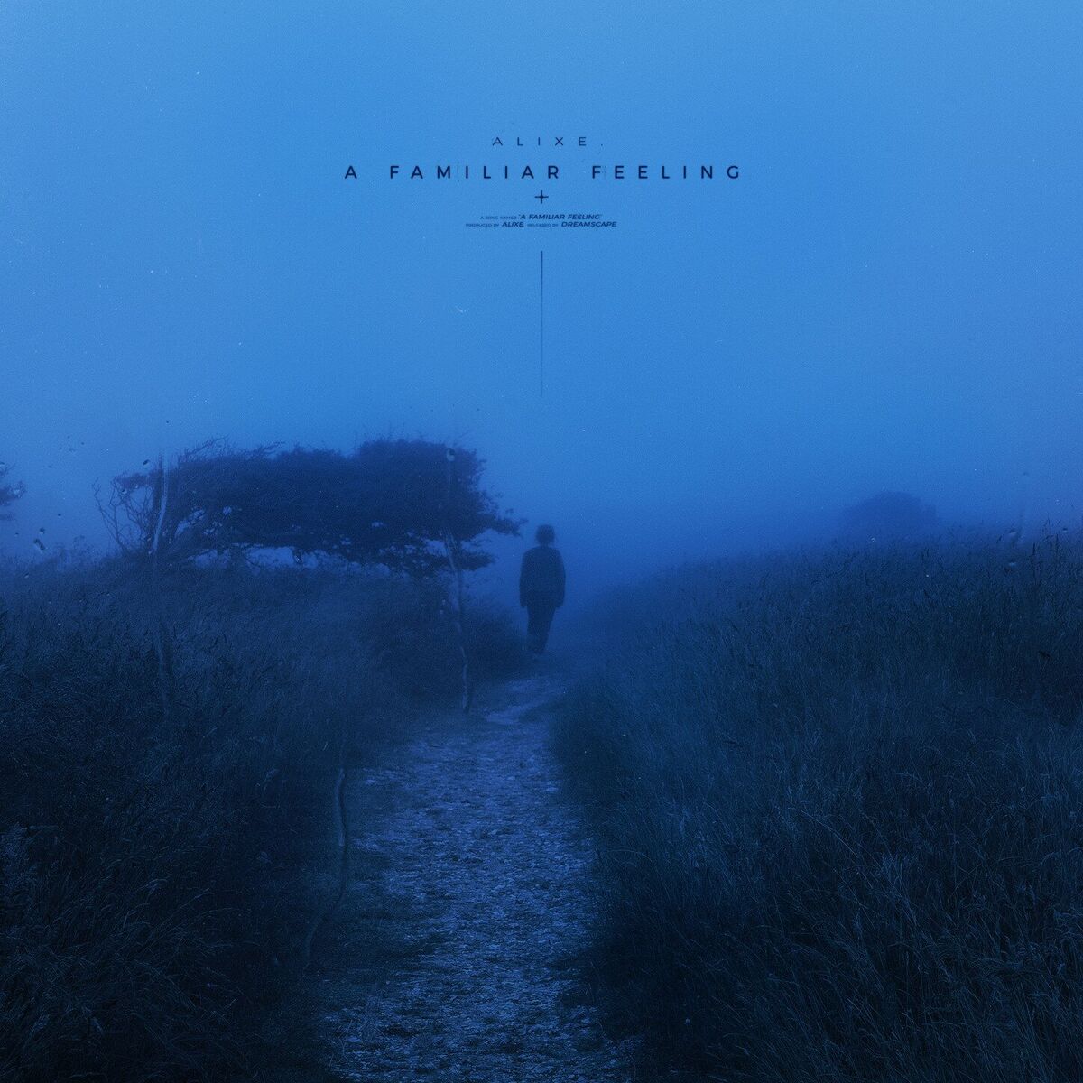 Album cover of a familiar feeling