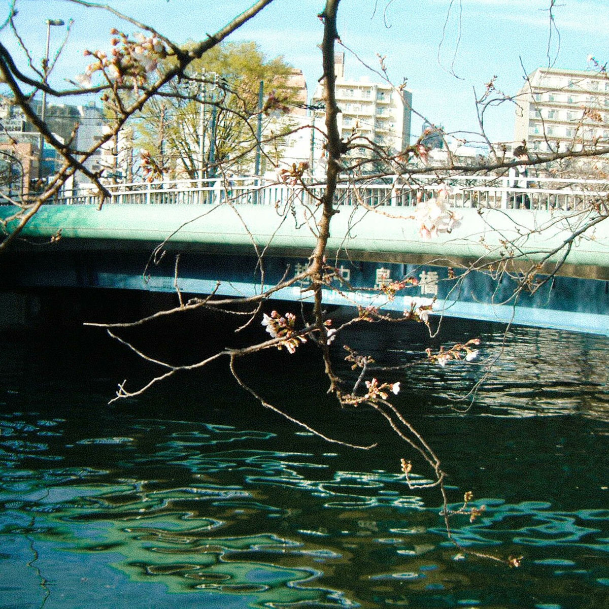 Cody・Lee(李) 我爱你/drizzle レコード Cody・Lee(李) - 我愛你 | Deezer