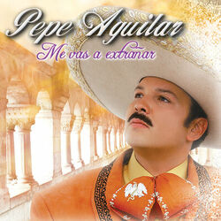 Cover of Me Vas A Extrañar