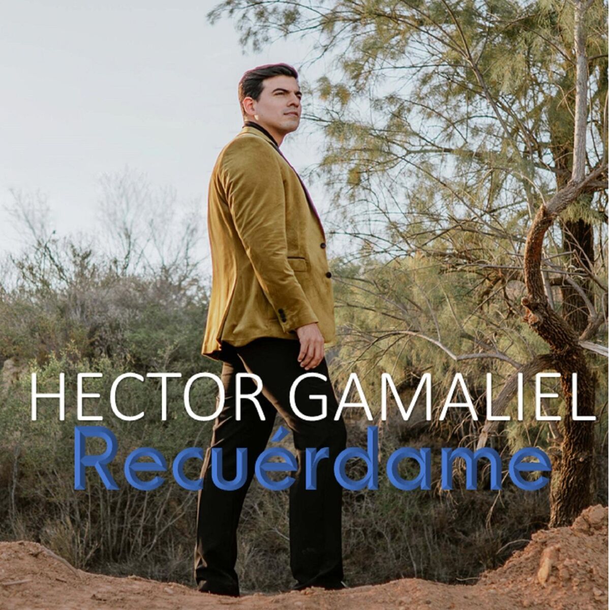 Album cover of Recuérdame