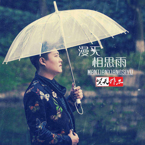 漫天相思雨