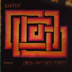 Cover of Entre desencuentros