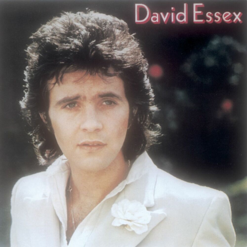 Picture of David Essex